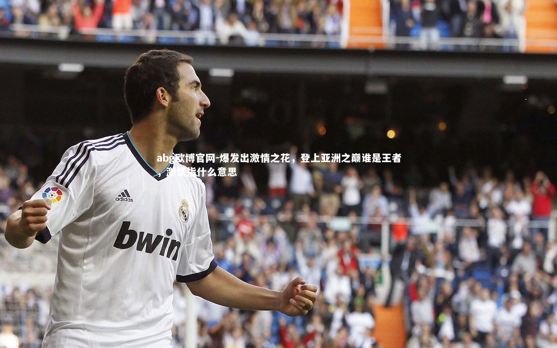 爆发出激情之花，登上亚洲之巅谁是王者，激情指什么意思