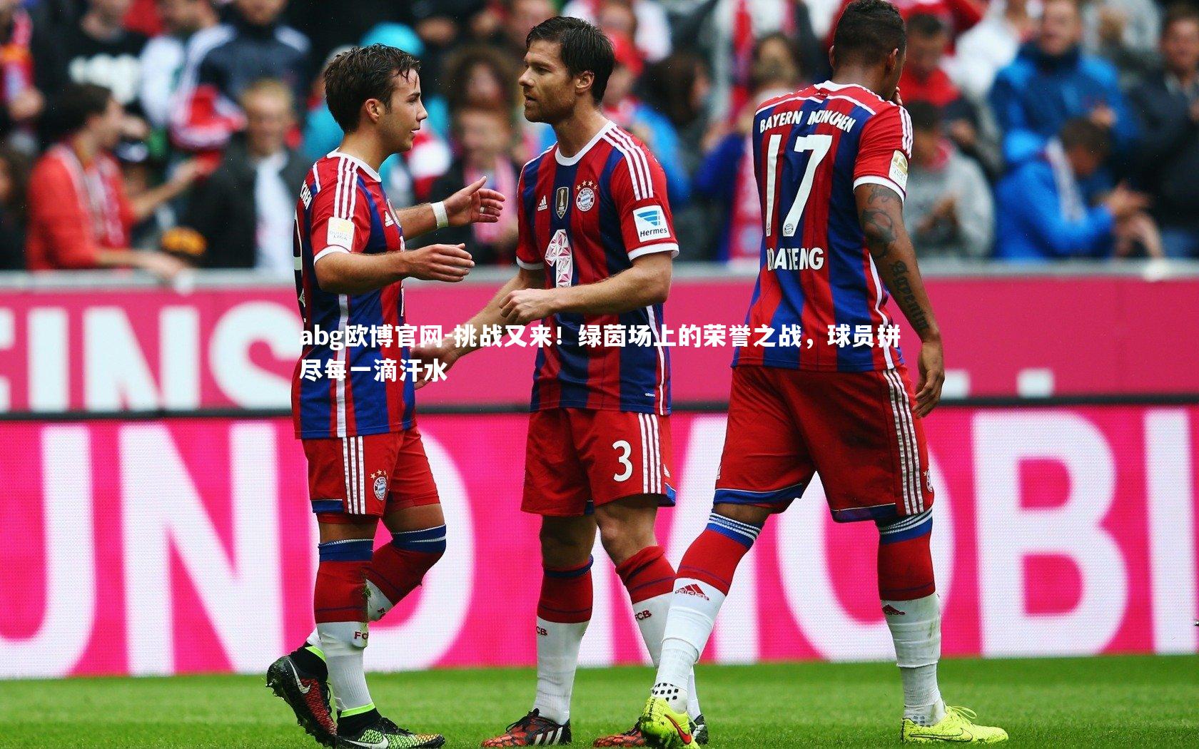 挑战又来！绿茵场上的荣誉之战，球员拼尽每一滴汗水