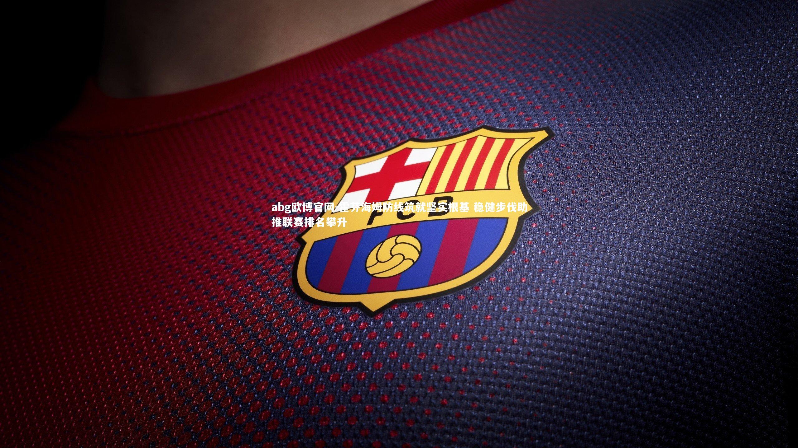 abg欧博官网-霍芬海姆防线筑就坚实根基 稳健步伐助推联赛排名攀升